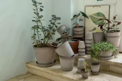 Clearance Bergs Potter Helena Raw, Ø 8,5 cm, sæt Grå