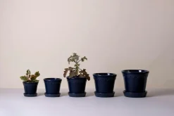 Best Bergs Potter Krukke med underskål Københavner GLAZED, diameter 21 cm Sapphire blue