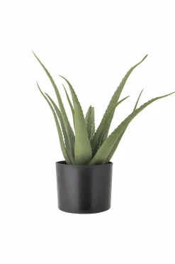 Clearance Bloomingville Aloe Plante Grøn