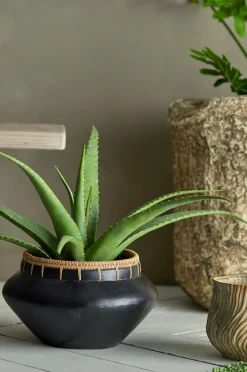 Clearance Bloomingville Aloe Plante Grøn
