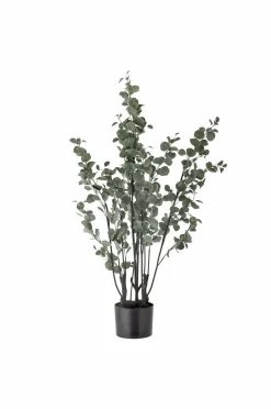 Best Bloomingville Eucalyptus Plante Grøn