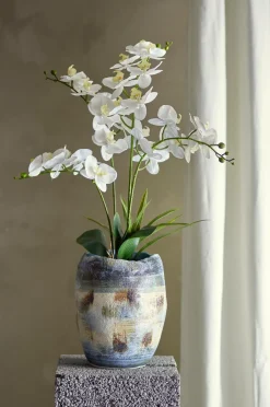 Online Bloomingville Orchid Plante Grøn