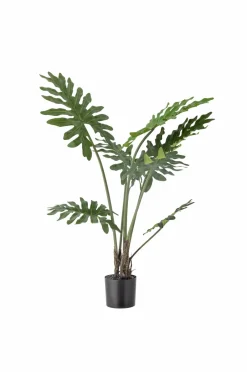 Online Bloomingville Philodendron Plante Grøn