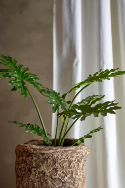 Online Bloomingville Philodendron Plante Grøn
