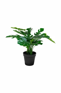 Best House Nordic Kunstig Monstera. Plante af PE-plast. Ø 40 cm. Green glossy