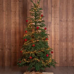 New Star Trading Juletræ Edane 210 cm Grøn