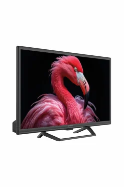 Hot Strong Smart-tv 24 230/12volt Google TV Srt24hg4723c No color