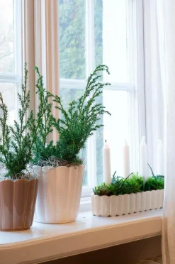 Best Wikholm Form Planter Oval Edna Hvid