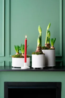 Best Wikholm Form Plantning Julianne Hvid