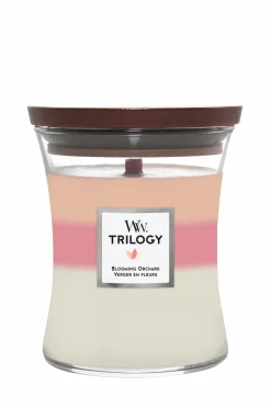 Best WoodWick Trilogy Hourglass Blooming Orchard Medium